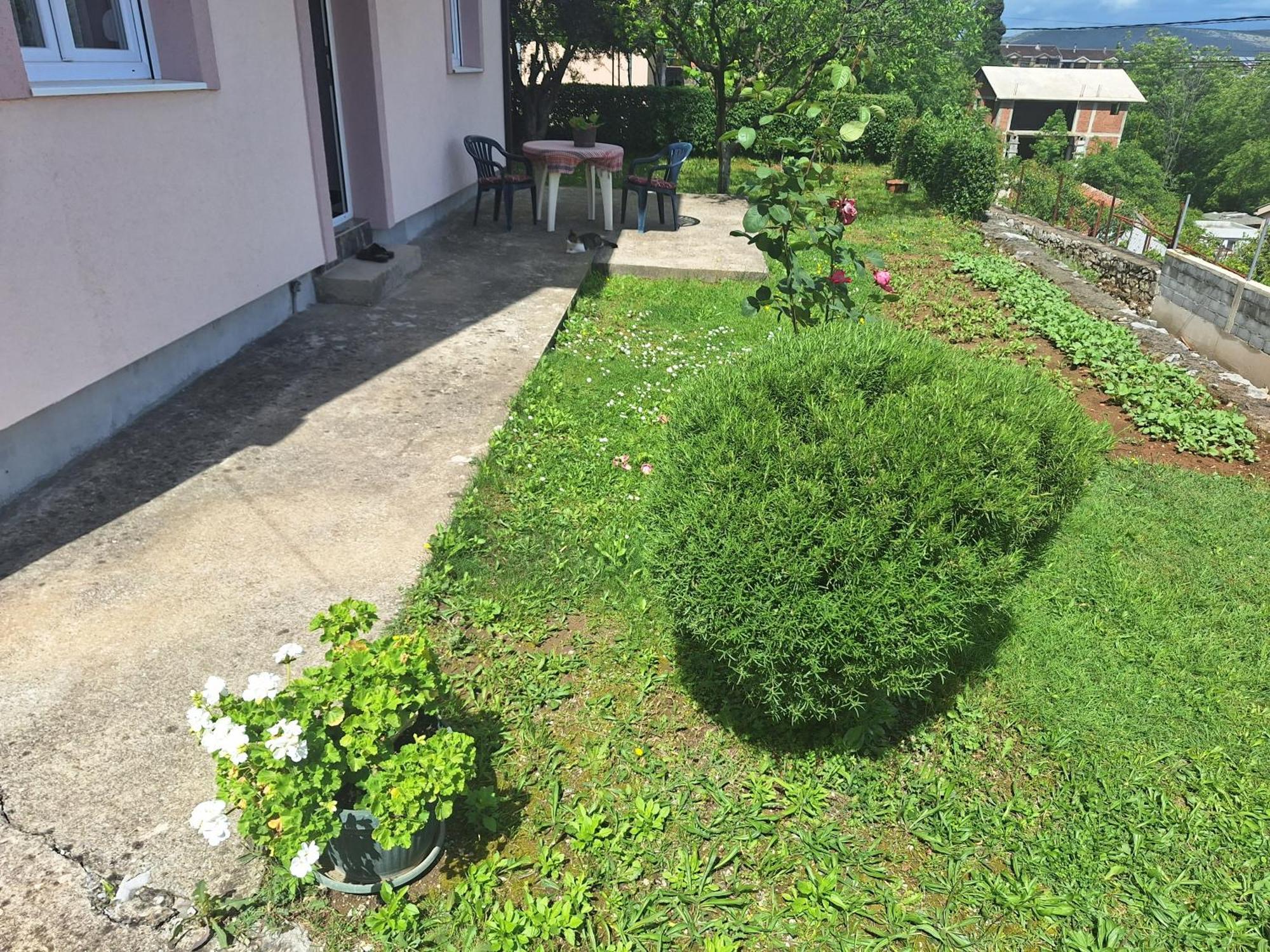 Apartmani Ruza 波德戈里察 外观 照片